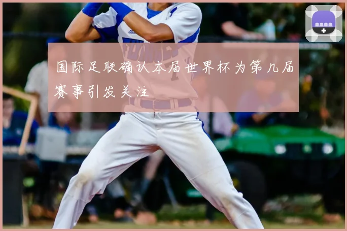 国际足联确认本届世界杯为第几届赛事引发关注