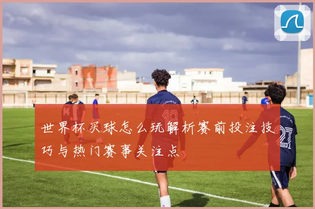世界杯买球怎么玩解析赛前投注技巧与热门赛事关注点