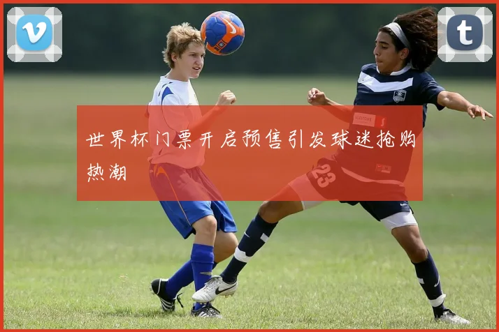世界杯门票开启预售引发球迷抢购热潮