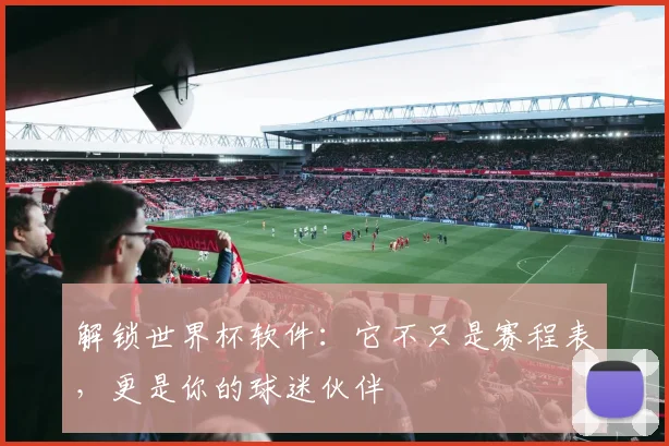 解锁世界杯软件：它不只是赛程表，更是你的球迷伙伴