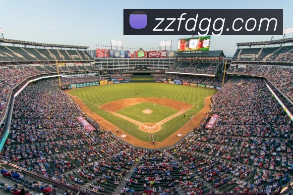 世界杯开户平台平台生态图